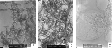 Graphical abstract: Preparation and characterization of magnesium doped hydroxyapatite–gelatin nanocomposite