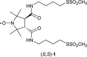 Graphical abstract: Synthesis of C2-chiral bifunctionalised spin labels and their application to troponin C