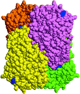 Graphical abstract: TBADH activity in water-miscible organic solvents: correlations between enzyme performance, enantioselectivity and protein structure through spectroscopic studies