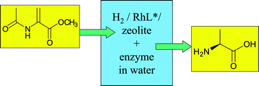 Graphical abstract: Green solvents for sustainable organic synthesis: state of the art