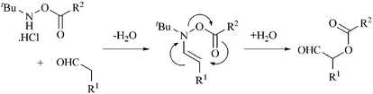 Graphical abstract: A simple method for the α-oxygenation of aldehydes