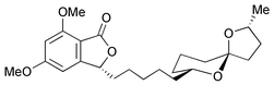 Graphical abstract: The first enantioselective total synthesis of the anti-Helicobacter pylori agent (+)-spirolaxine methyl ether