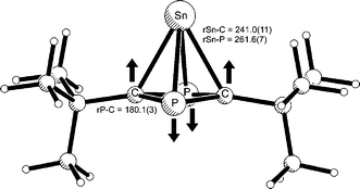 Graphical abstract: The molecular structure of [Sn(P2C2Bu2)] using gas-phase electron diffraction and DFT calculations