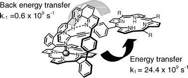 Graphical abstract: Photodynamics of excitation energy transfer in self-assembled dyads. Evidence for back transfer
