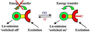 Graphical abstract: Responsive lanthanide luminescent cyclen complexes: from switching/sensing to supramolecular architectures
