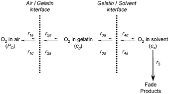 Graphical abstract: Light stability of pyrazolotriazole azamethine dyes at oil/aqueous interfaces