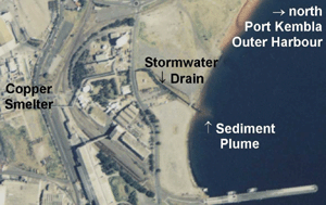 Graphical abstract: Fractionation of sedimentary arsenic from Port Kembla Harbour, NSW, Australia