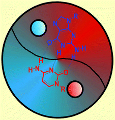 Graphical abstract: Functionalized base-pairs: versatile scaffolds for self-assembly