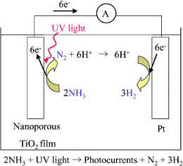 Graphical abstract: Artificial photochemical nitrogen cycle to produce nitrogen and hydrogen from ammonia by platinized TiO2 and its application to a photofuel cell