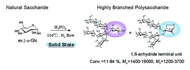 Graphical abstract: Powder-to-powder polycondensation of natural saccharides. Facile preparation of highly branched polysaccharides