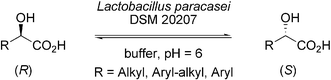 Graphical abstract: Biocatalytic racemisation of α-hydroxycarboxylic acids at physiological conditions