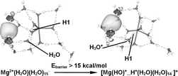 Graphical abstract: Reaction mechanisms for size-dependent H loss in Mg+(H2O)n: solvation controlled electron transfer