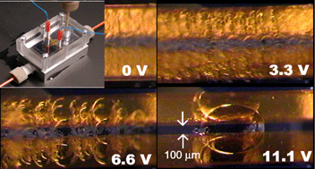 Graphical abstract: Surfactant-enhanced liquid–liquid extraction in microfluidic channels with inline electric-field enhanced coalescence