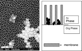 Graphical abstract: Structural and electrochemical characterisation of Pt and Pd nanoparticles electrodeposited at the liquid/liquid interface: Part 2