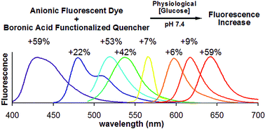 Graphical abstract: Optical glucose detection across the visible spectrum using anionic fluorescent dyes and a viologen quencher in a two-component saccharide sensing system