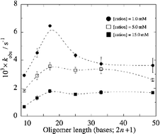 Graphical abstract: A combination of access to preassociation sites and local accumulation tendency in the direct vicinity of G-N7 controls the rate of platination of single-stranded DNA