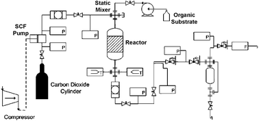 Graphical abstract: Continuous reactions in supercritical fluids; a cleaner, more selective synthesis of thymol in supercritical CO2
