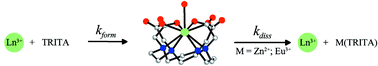 Graphical abstract: Kinetics of formation and dissociation of lanthanide(iii) complexes with the 13-membered macrocyclic ligand TRITA4−