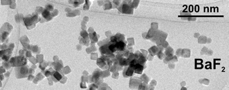 Graphical abstract: Flame synthesis of calcium-, strontium-, barium fluoride nanoparticles and sodium chloride