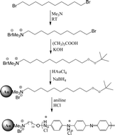 Graphical abstract: Synthesis of polyaniline–gold nanocomposites using “grafting from” approach