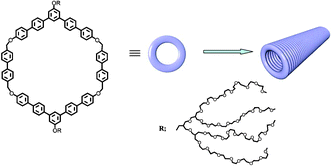 Graphical abstract: Tubular assembly of amphiphilic rigid macrocycle with flexible dendrons