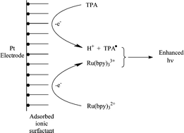 Graphical abstract: Enhancing the electrochemiluminescence of tris(2,2′-bipyridyl)ruthenium(ii) by ionic surfactants