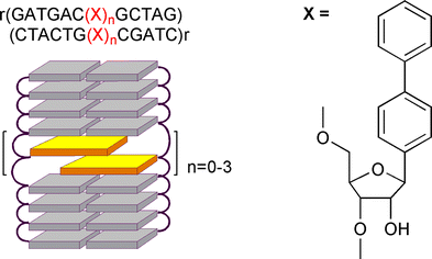 Graphical abstract: RNA duplexes with biphenyl substituents as base replacements are less stable than DNA duplexes