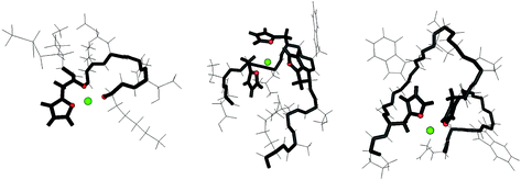 Graphical abstract: NMR studies on Cu(ii)–peptide complexes: exchange kinetics and determination of structures in solution