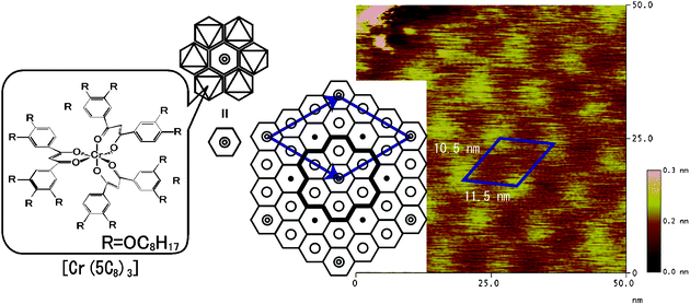 Graphical abstract: Nanometer-scale ordering in cast films of columnar metallomesogen as revealed by STM observations