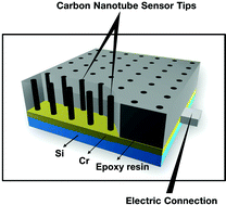 Graphical abstract: Ultrasensitive voltammetric detection of trace heavy metal ions using carbon nanotube nanoelectrode array