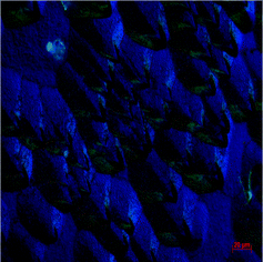 Graphical abstract: Phosphonate mediated surface reaction and reorganization: implications for the mechanism controlling cement hydration inhibition