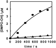 Graphical abstract: Enhanced photocatalytic formation of hydroxyl radicals on fluorinated TiO2