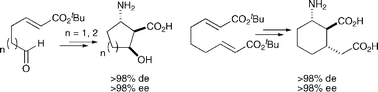 Graphical abstract: Cyclic β-amino acid derivatives: synthesis via lithium amide promoted tandem asymmetric conjugate addition–cyclisation reactions