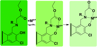 Graphical abstract: Double discrimination by binding and reactivity in fluorescent metal ion detection