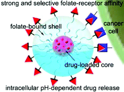 Graphical abstract: Multifunctional polymeric micelles with folate-mediated cancer cell targeting and pH-triggered drug releasing properties for active intracellular drug delivery