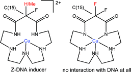 Graphical abstract: Induction of B- to Z-DNA transition by copper and zinc complexes with C(15) substituted macrocyclic pentaaza ligands