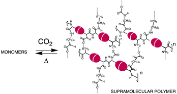Graphical abstract: Carbon dioxide and supramolecular chemistry