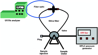 Graphical abstract: Optical fiber-based on-line UV/Vis spectroscopic monitoring of chemical reaction kinetics under high pressure in a capillary microreactor