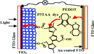 Graphical abstract: Volatile solvent-free solid-state polymer-sensitized TiO2 solar cells with poly(3,4-ethylenedioxythiophene) as a hole-transporting medium