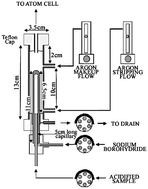 Graphical abstract: Design and characterisation of a vapour generation system for determination of mercury by atomic absorption spectrometry