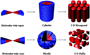 Graphical abstract: Generation dependent mesophase behavior in extended amphiphilic dendrons in the shape of macromolecular dumbbells