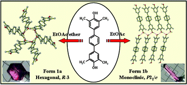 Graphical abstract: Concomitant polymorphs of 2,2′,6,6′-tetramethyl-4,4′-terphenyldiol: the β-quinol network reproduced in a metastable polymorph