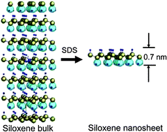Graphical abstract: Preparation and structure of novel siloxene nanosheets