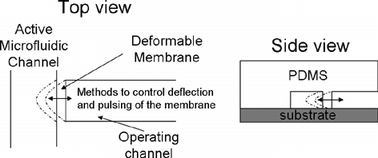 Graphical abstract: Microfluidic operations using deformable polymer membranes fabricated by single layer soft lithography