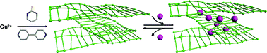 Graphical abstract: Heteroleptic pyrimidine-2-olate and 4,4′-bipyridine copper(ii) layered metal–organic frameworks with swelling properties