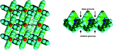 Graphical abstract: Engineering the metal-terpy grid with complexes containing 4′-hydroxy terpyridine