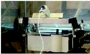 Graphical abstract: Determination of lead by flow injection hydride generation atomic absorption spectrometry with tetrahydroborate immobilized on an anion-exchange resin