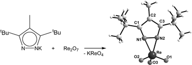 Graphical abstract: Rhenium oxo compounds containing η2-pyrazolate ligands