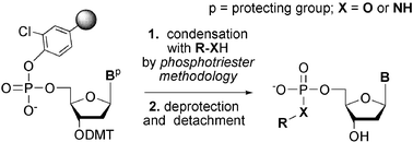 Graphical abstract: An efficient solid phase synthesis of 5′-phosphodiester and phosphoramidate monoester nucleoside analogues
