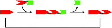 Graphical abstract: Template-free, polymerase-free DNA polymerization